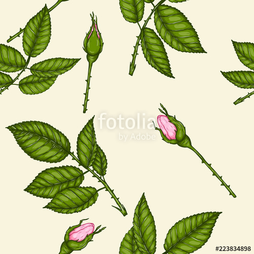 500x500 Rose Pattern