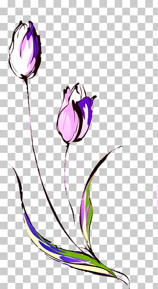 310x567 Tulip Drawing Flower Sticker Hand Painted Tulip Png Clipart