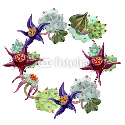 400x400 Duvalia Flower Watercolor Background Illustration Set Frame