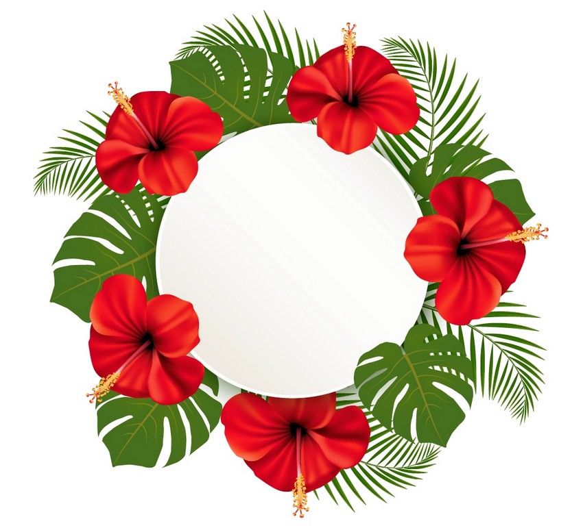 850x774 How To Draw A Wreath Of Tropical Flowers In Adobe Illustrator