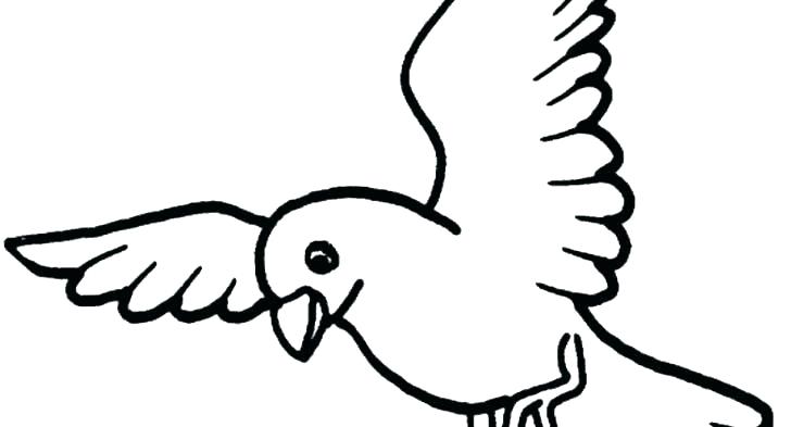 728x393 birds pictures to color parrots birds color set angry birds