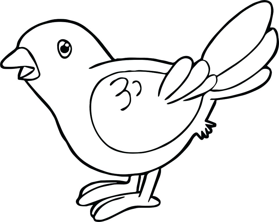 960x764 Coloring Pages For Adults Printable Easy Kids Disney Bird Sheets