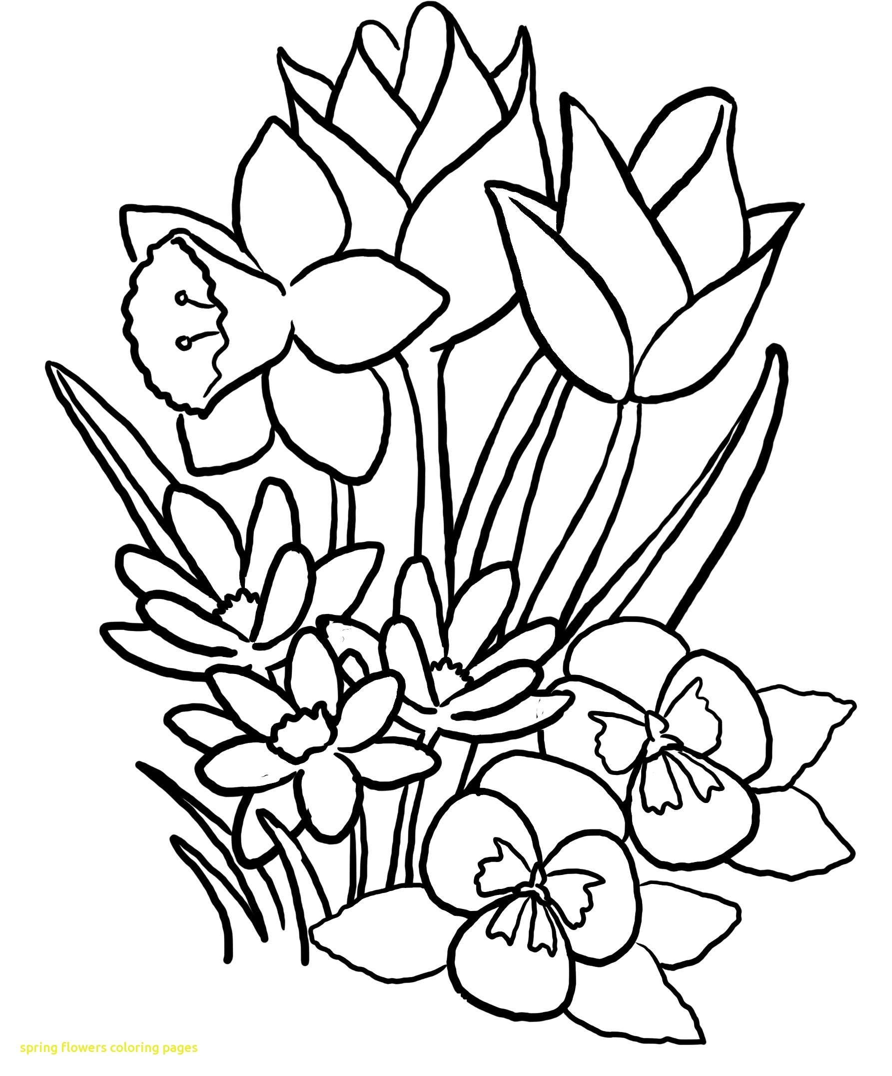 1785x2152 Coloring Pages Of Flowers And Birds For Mothers Day Butterflies