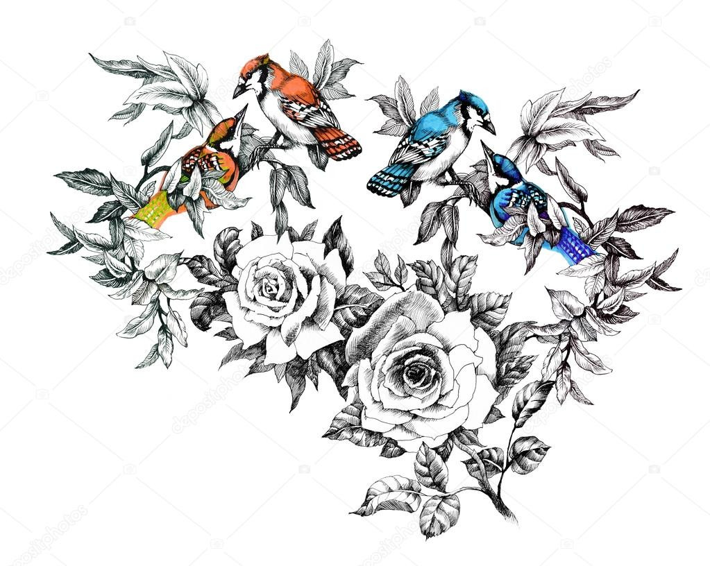 1023x816 Drawings Of Flowers And Birds Drawn Lovebird Old Fashioned Flower