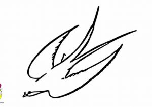 300x210 Simple Birds With Flowers Drawings Birds Drawing Images Stepstep