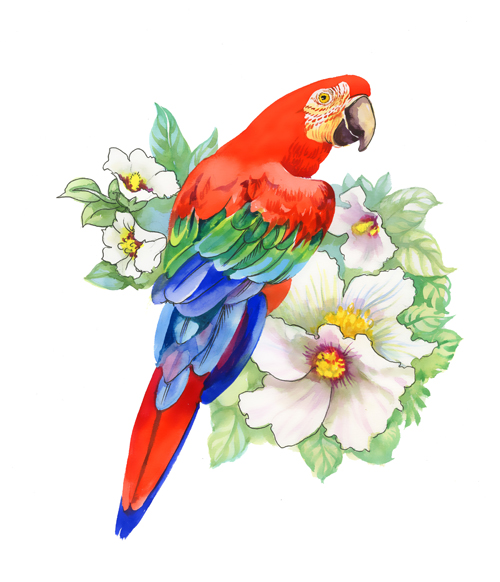 500x582 Watercolor Drawn Birds With Flowers Vector Design Free Download