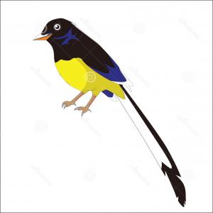 300x300 Beautiful Bird Drawing With Flowers Gm Sohadacouri