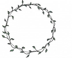 250x204 Flower Vines Drawing Pictures And Cliparts, Download Free