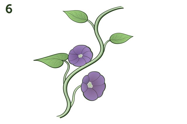 640x426 How To Draw Vines For Flowers