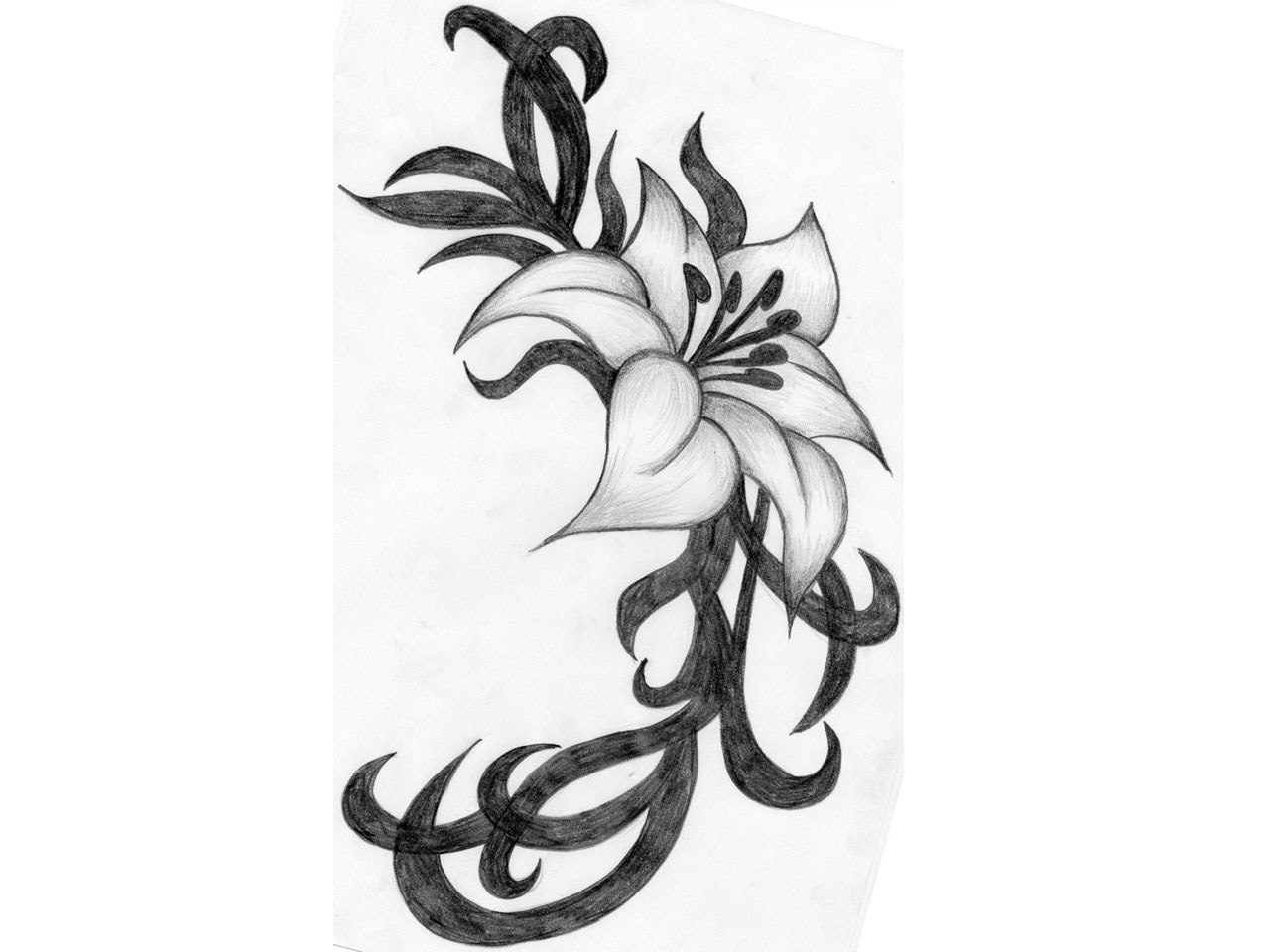 1280x960 Simple Easy Pencil Drawings Of Flowers And Vines
