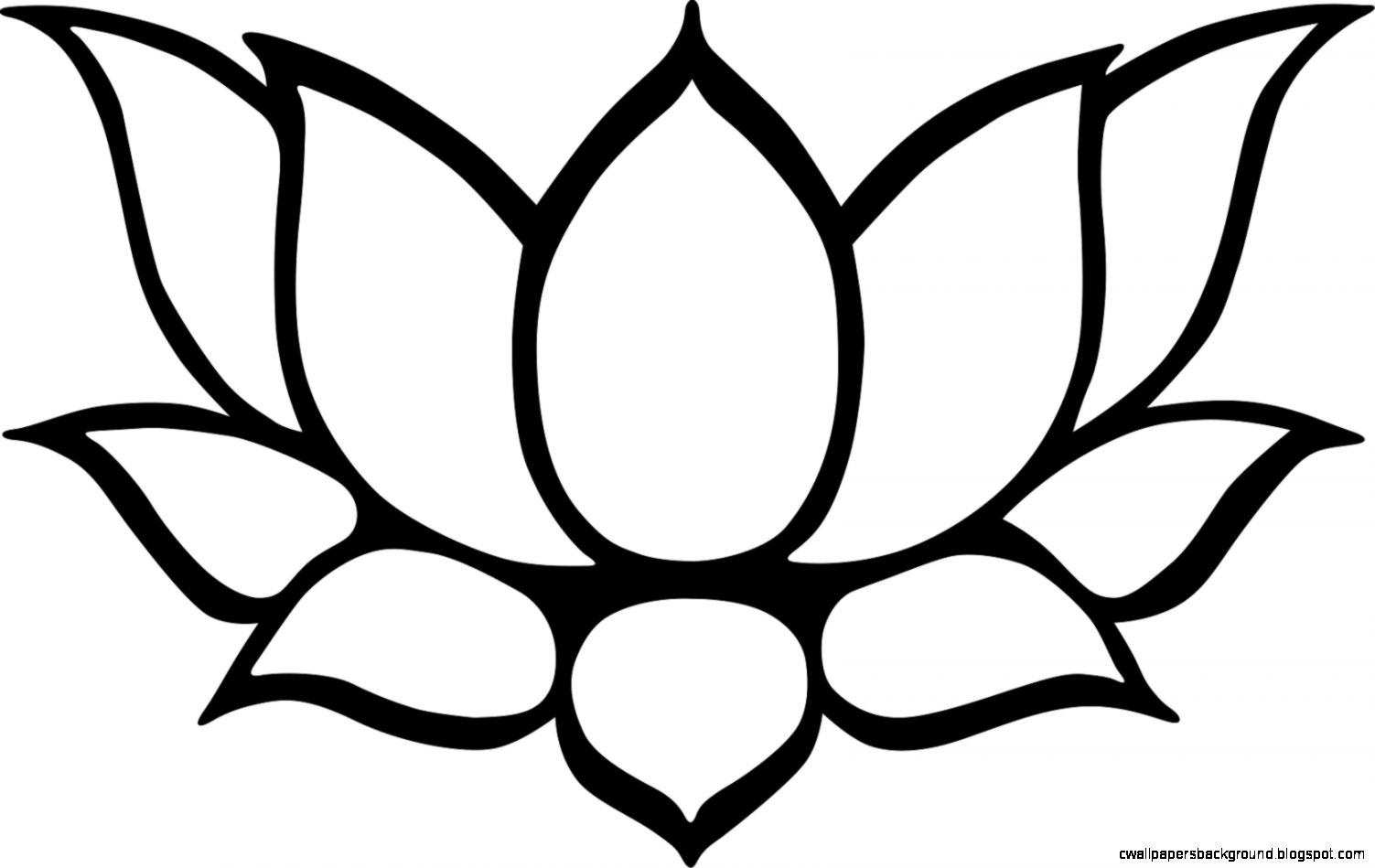 1503x949 Simple Lotus Drawing Simple Lotus Flower Drawing