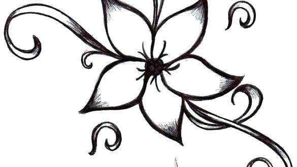 585x329 Drawings Flowers Simple Hoteles