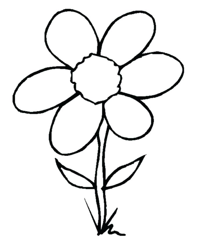 699x828 Simple Drawing Flowers