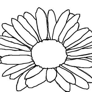 300x300 Daisy Flower, Kids Drawing Of Daisy Flower Coloring