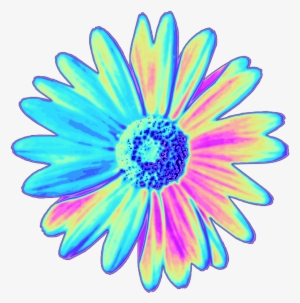 300x303 Flowers Tumblr Png Images Png Cliparts Free Download On Seekpng
