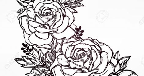 471x250 Black And White Drawing Of A Rose Tumblr Flowers Border Line