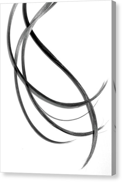 417x622 Flowing Hair Canvas Prints