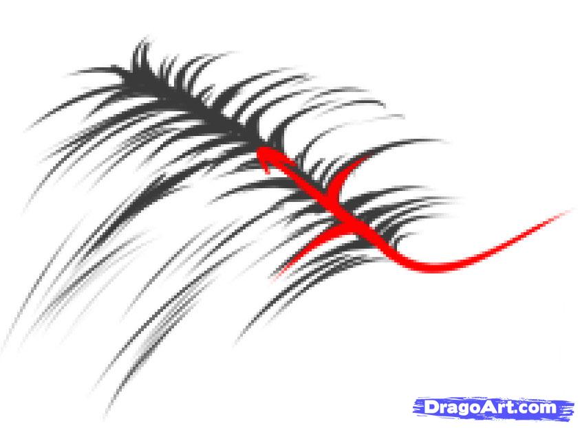 843x623 Flowing Hair Drawing