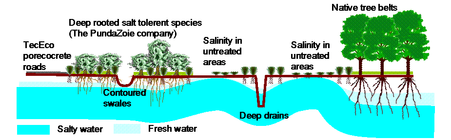 925x288 Flowing River Drawing
