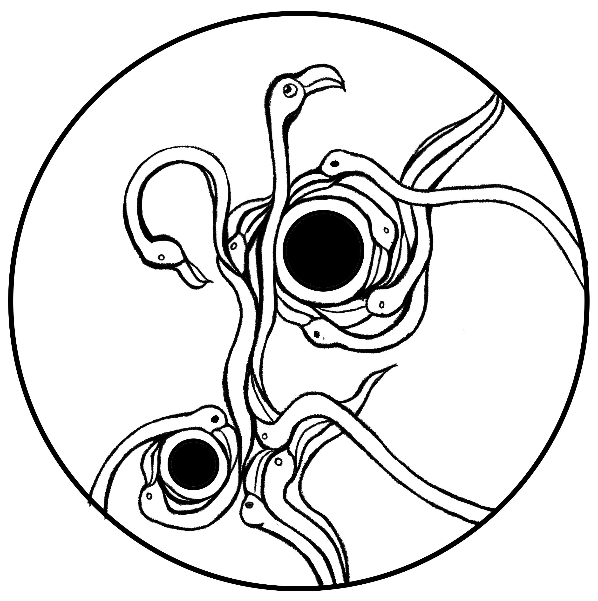 2480x2496 Day Flowing Abstract Flamingo Design