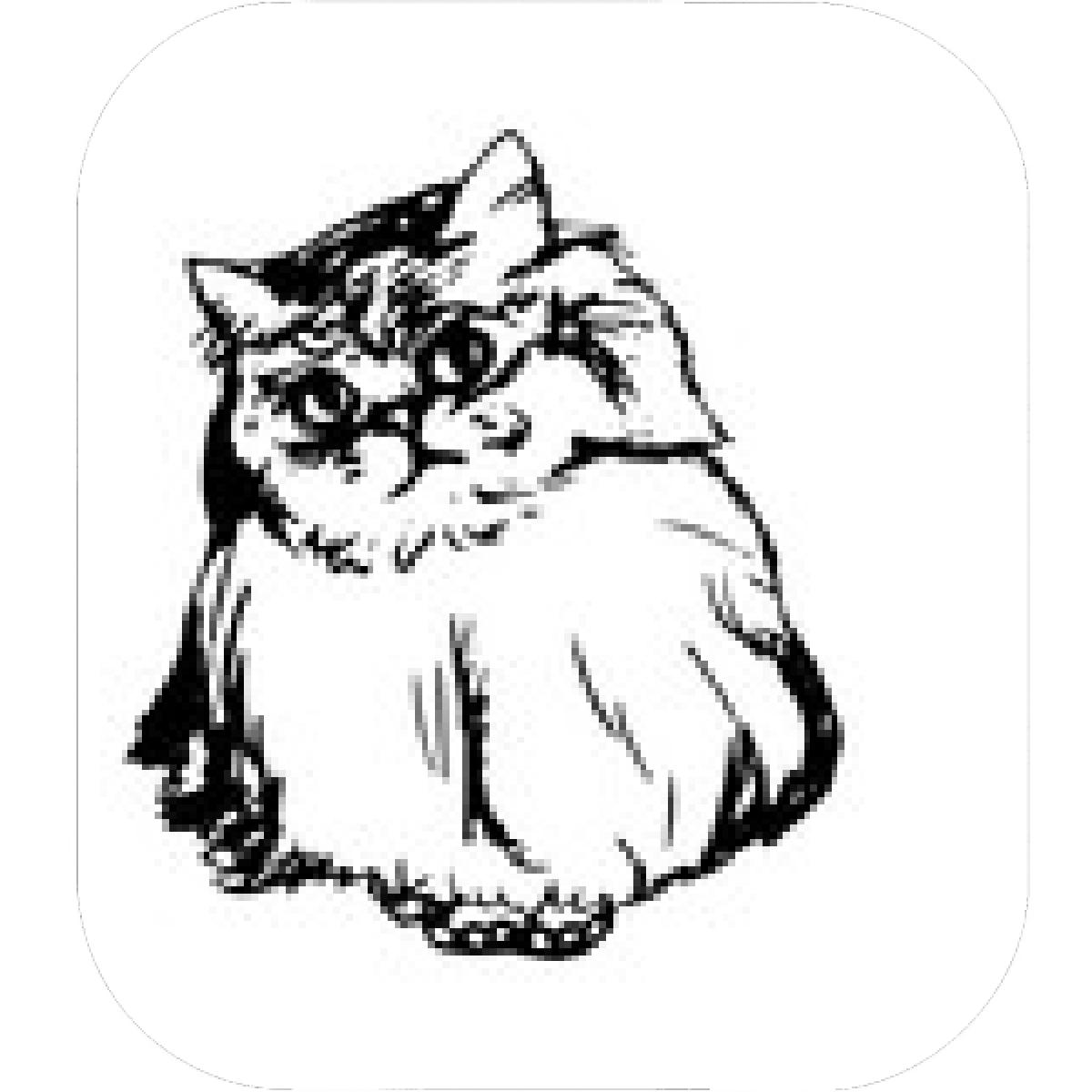 1200x1200 Designs Mein Mousepad Design Mousepad Selbst Designen