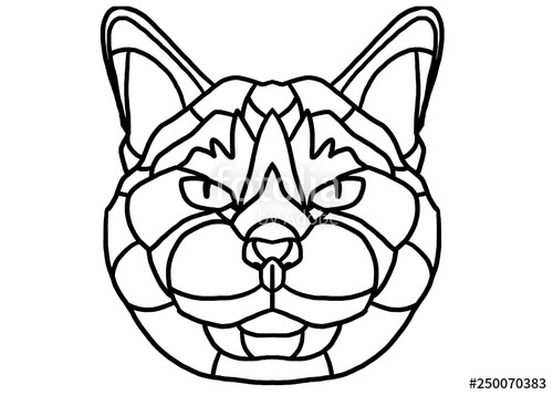 500x357 Fluffy Cat Head Stock Photo And Royalty Free Images On Fotolia