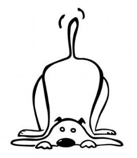 270x312 fluffy mutt grooming