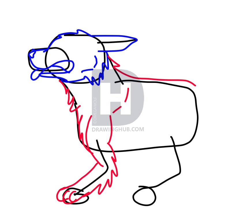 828x720 How To Draw A Cartoon German Shepherd Easy, Step