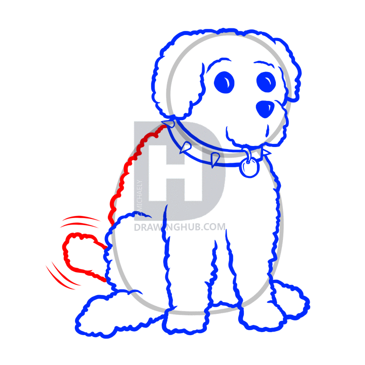 720x720 How To Draw A Miniature Poodle, Step