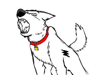 300x250 very fluffy dog, good boy powers maximum