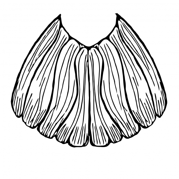 600x600 Nami Mermaid Tail Mermaid Amatheia