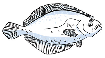 350x195 Breaking Bistro Raw Fluke