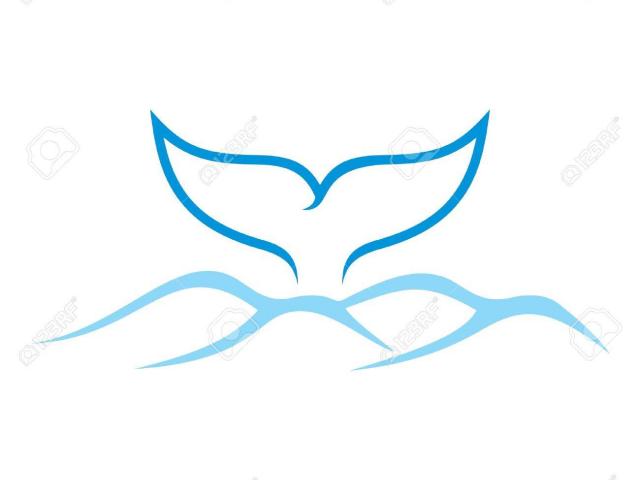 640x480 Collection Of Free Tail Clipart Whale Fluke Amusement Clipart