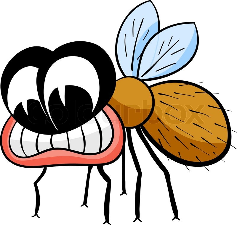 800x761 Drawing Fly Isolated On The White Stock Vector Colourbox