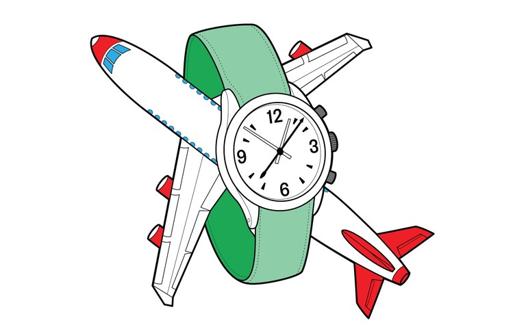 768x484 Fly Drawing Free Download