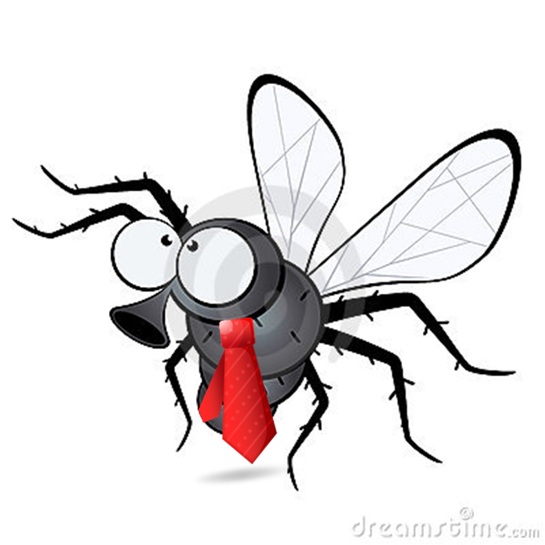 790x790 Fly Wearing A Tie Down