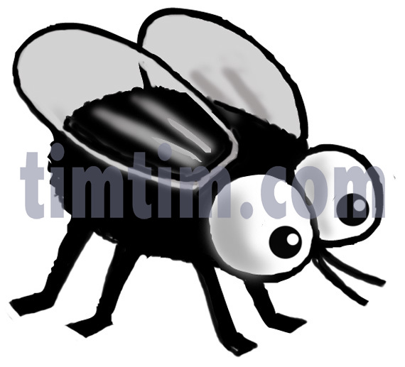 570x517 Free Drawing Of A Fly Bw From The Category Birds Insects