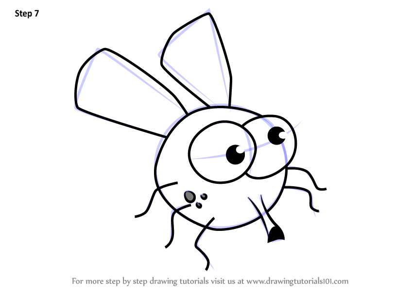 848x602 Learn How To Draw House Fly For Kids