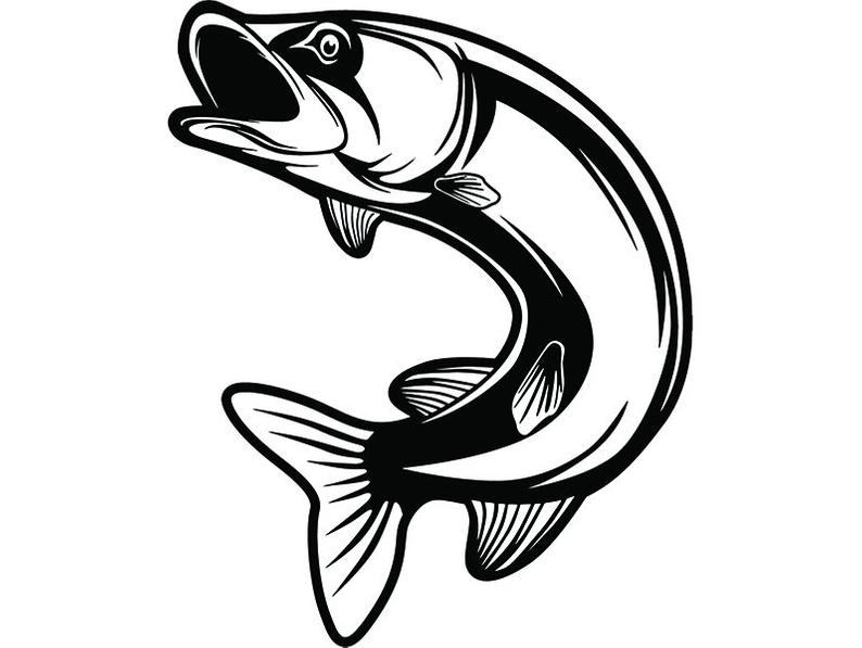 794x597 Trout Fish Fly Fisherman Fresh Water River Fishing Etsy