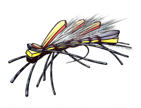 480x370 Fly Art Frankenfly