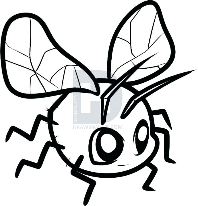 690x720 drawing of a fly how to draw a fly for kids step flying jatt