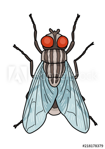 354x500 Fly Illustration, Doodle, Cartoon, Drawing, Ink, Line Art, Vector