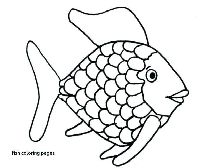 730x569 Wonderful Fly Fishing Coloring Pages Entry Level Resume Free