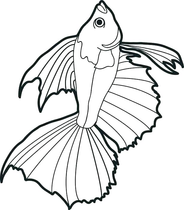 614x700 Coloring Pages Fly Fishing