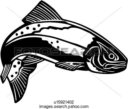 450x383 Trout Line Drawing