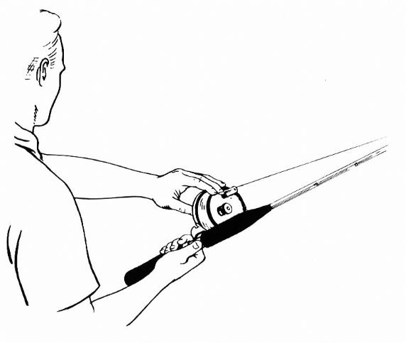 572x483 Estuary Fishing Alvey Reels Australia