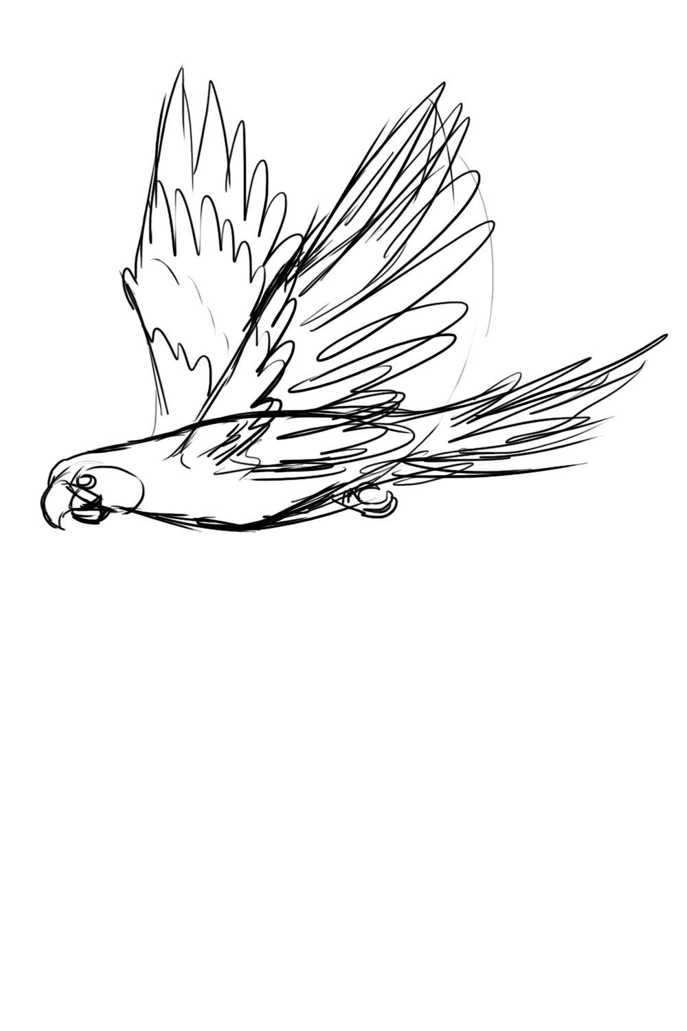 1000x1500 Macaw Drawing Flying For Free Download