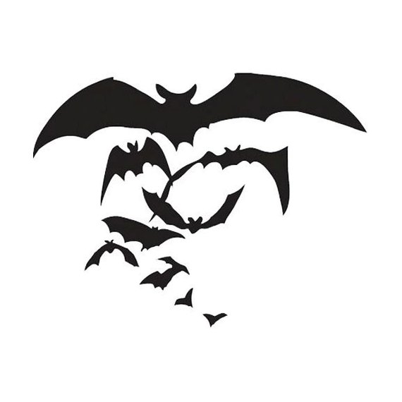 570x570 Flying Bat Drawing