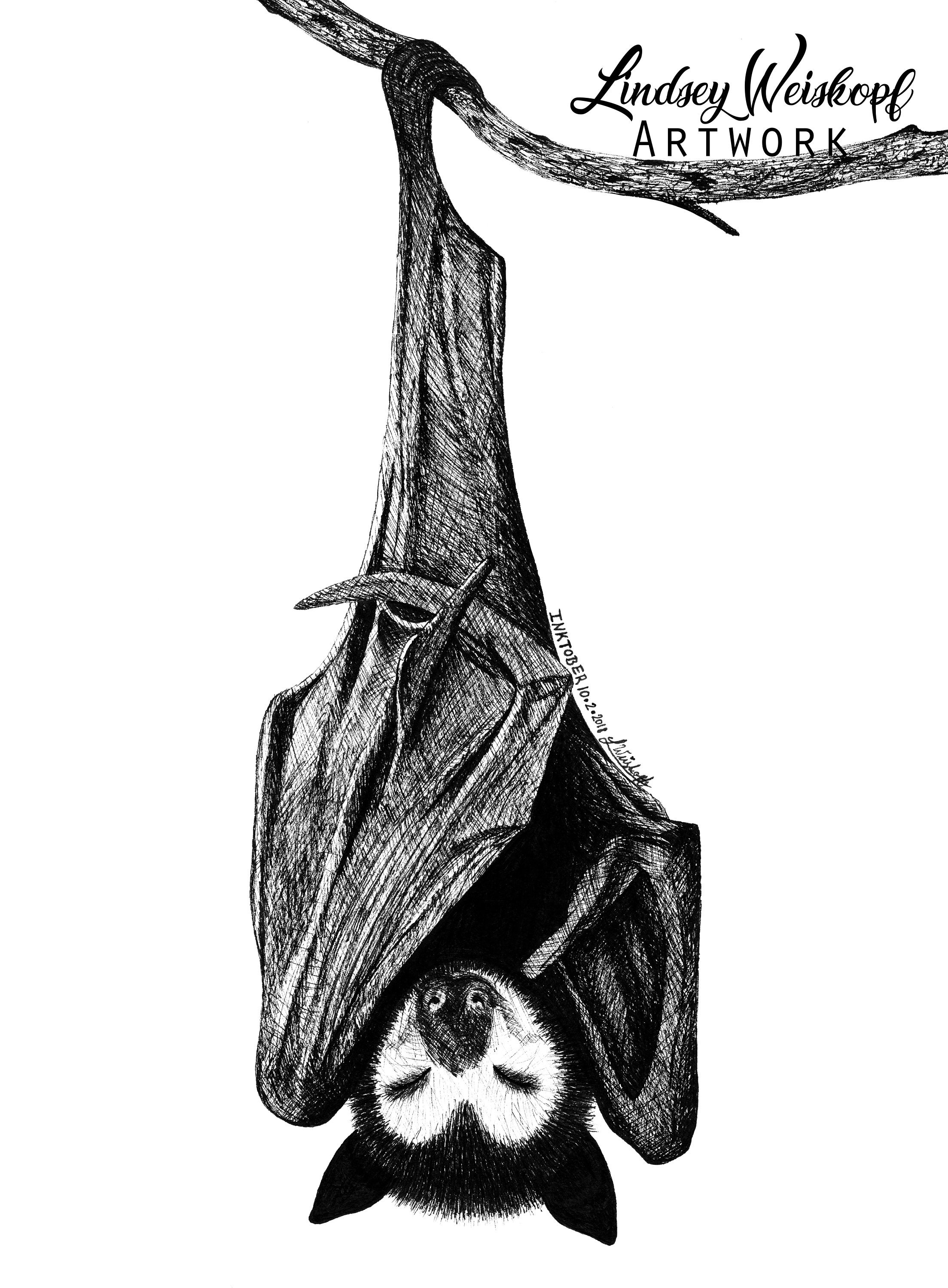 Flying Bat Drawing | Free download on ClipArtMag