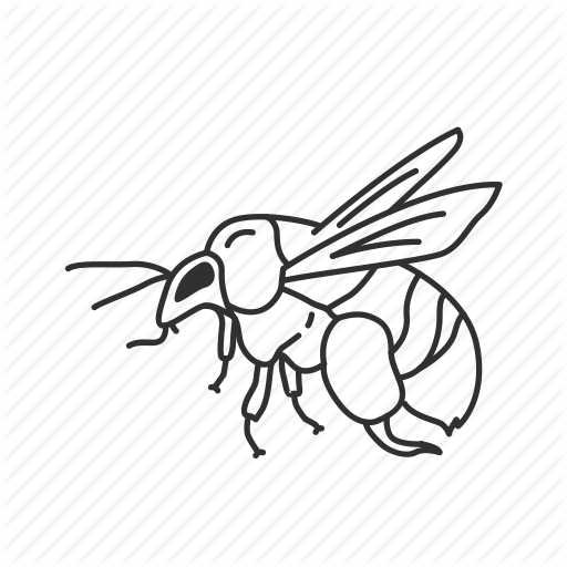 512x512 Collection Of Free Bee Drawing Flying Download On Ui Ex